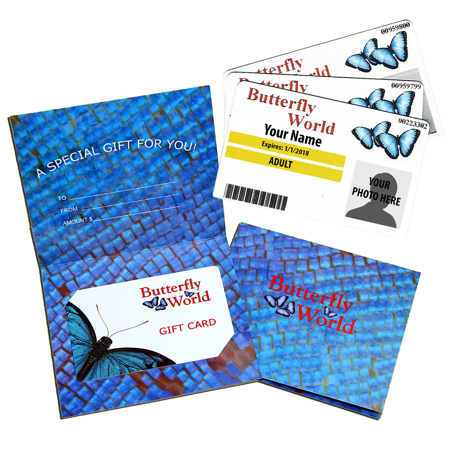 Gift Admission Tickets, Gift Memberships & Gift Cards