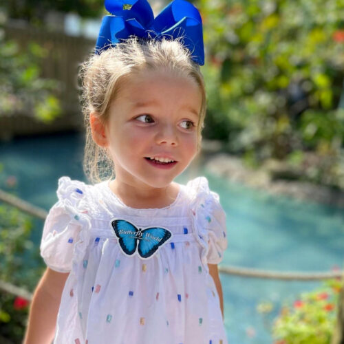 Butterfly World Blue Morpho Sticker