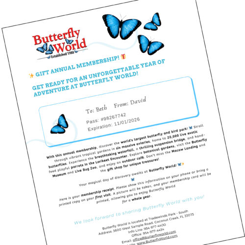 Individual Annual Memberships