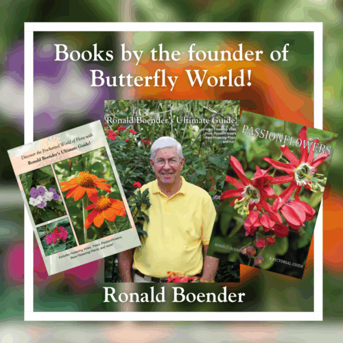 Books, Educational Items & Stickers