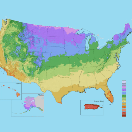 Butterfly Gardening Guide by Region