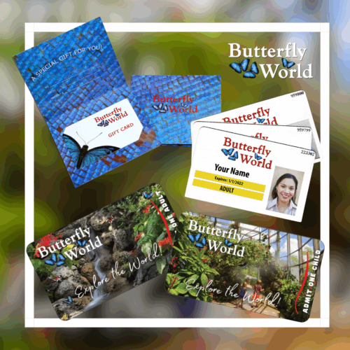 Gift Admission Tickets, Gift Memberships & Gift Cards