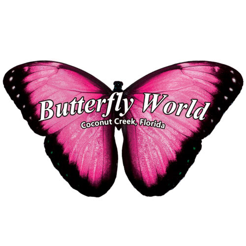 Butterfly World Pink Morpho Sticker