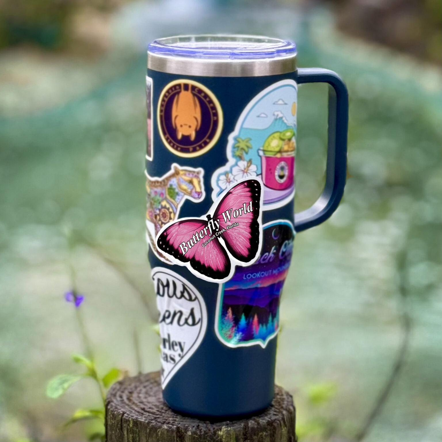 Butterfly World Pink Morpho Sticker – Butterfly World